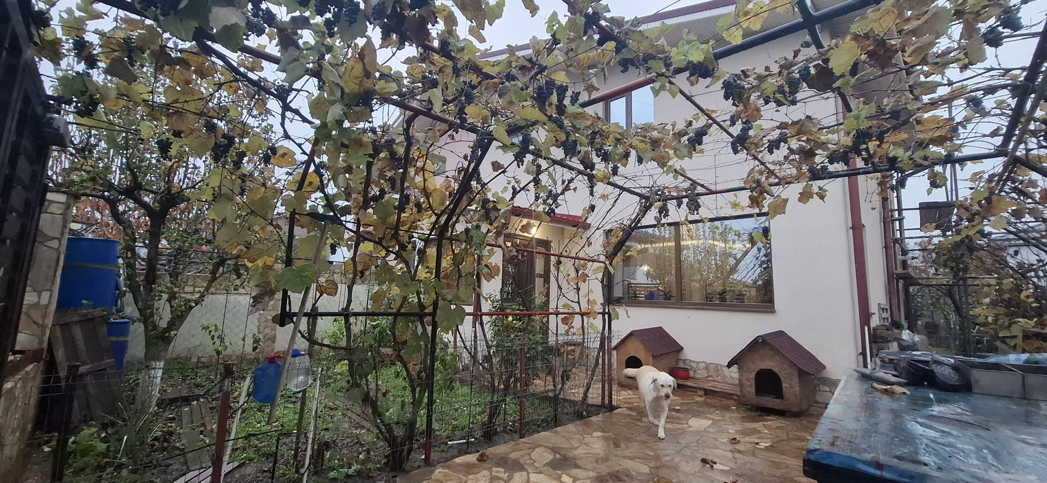 Vanzare Casa 124 m&sup2; - FAR, Mangalia - DSC_98562